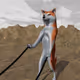On a Leash