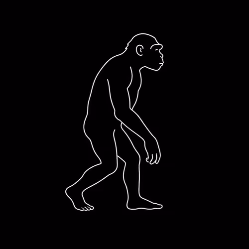 Onchain Human Evolution