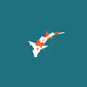 Onchain Koi