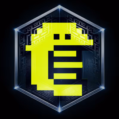 OnChainHoodies (Wrapped)