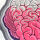 Encephalon Collection