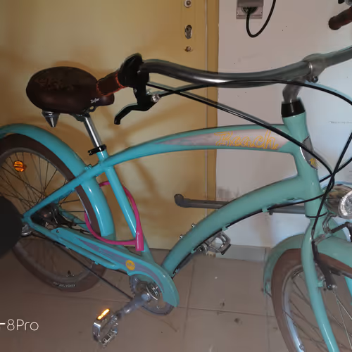 One day a bike