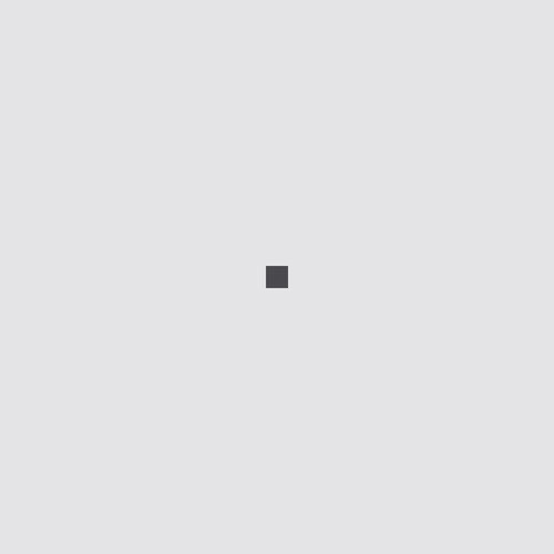 One To One Hundred Pixels