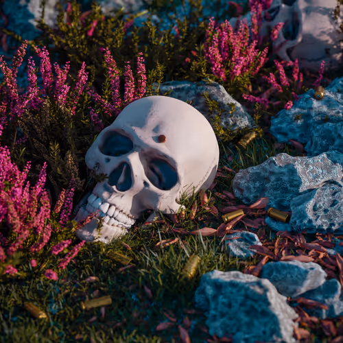 One with the Camera 1