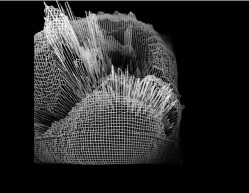Oneiric clips by Sergio de Luz