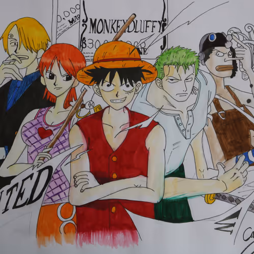 onepiece V1