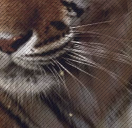 onetwothreebap - old