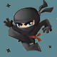 Only a ninja can stop a ninja