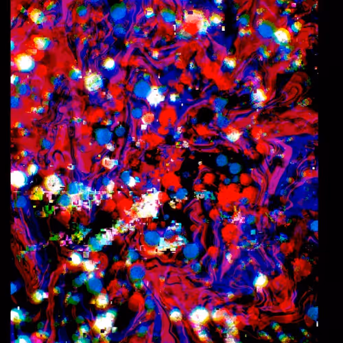 only time will Know V3