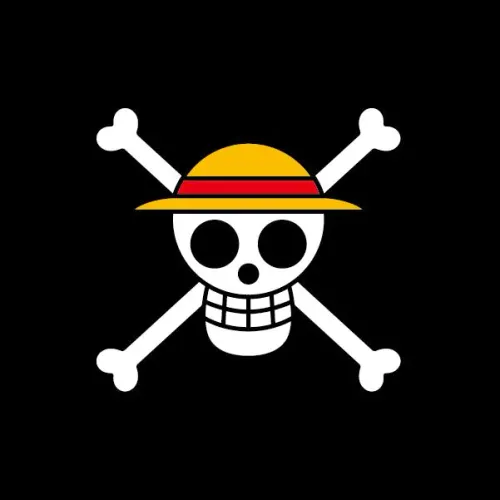 THE  ONE  PIECE