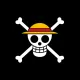 THE  ONE  PIECE
