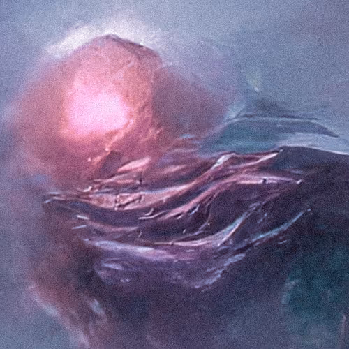 On Neurocist's Works