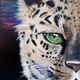 On The Edge - Conservation Art Series