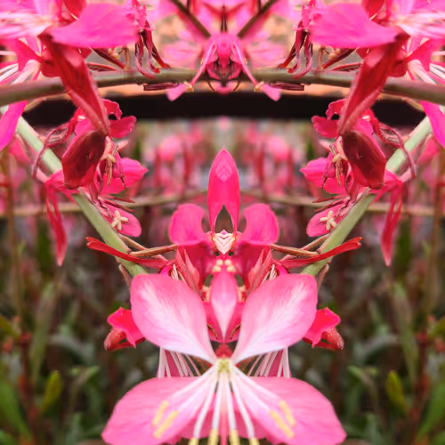 life is a beautiful opportunity