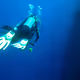 Open Red Sea
