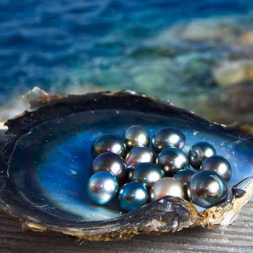 OpenSea Pearls