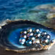 OpenSea Pearls