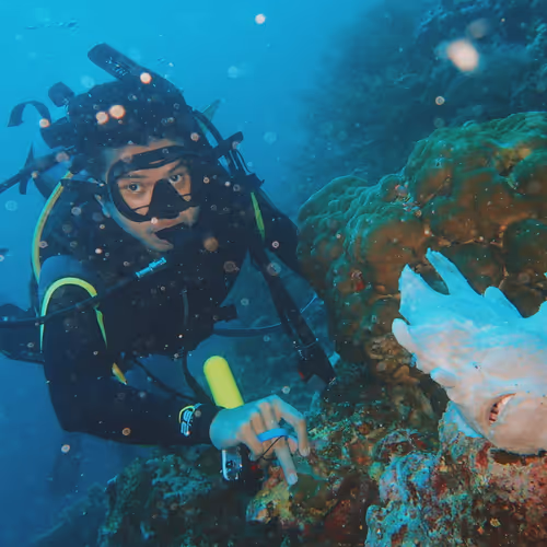 Openwater Photographs