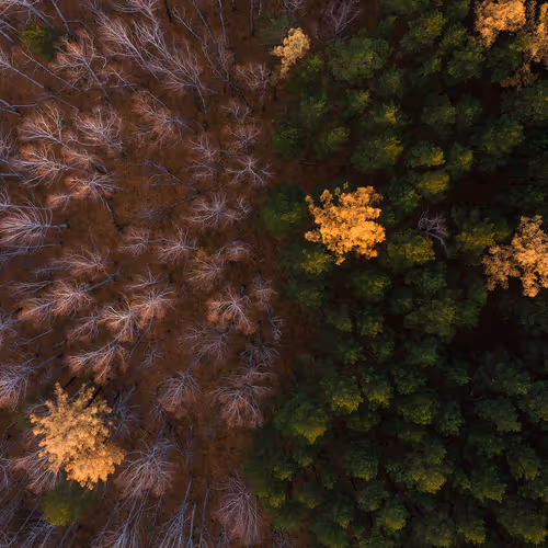 Opposition of nature