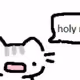 sadasdasd