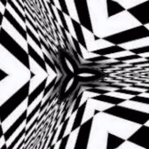 Optical Illusions BNW