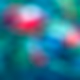 Optics | Acoustics | Micro Moment