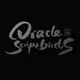 Oracle Script Birds Official