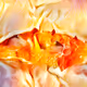 Orange break
