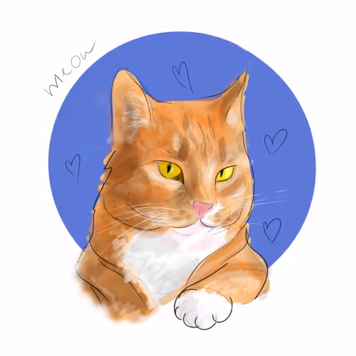 Orange cat drawing collection