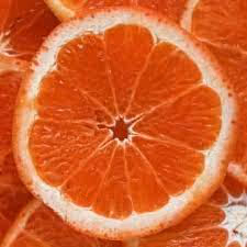 Orange paradise