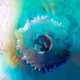 Toddler's Orb Art Collection
