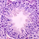 Origin of Life