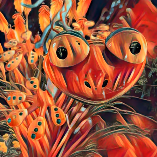 Funky Gecko Collection