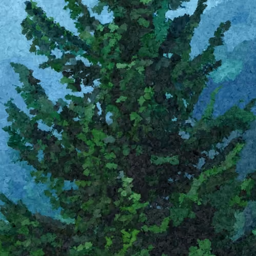 Original Landscapes - old V4