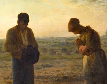 Polarity between original_reproduction