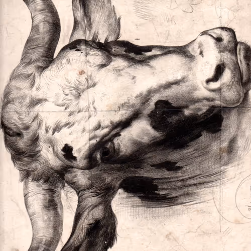Stampe disegni antichi