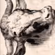 Stampe disegni antichi