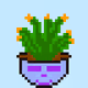 ornamental plants