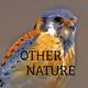 OTHER NATURE - old