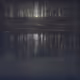 Others - ZlzG67B0nH