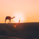 Our World - zachjdemps - old