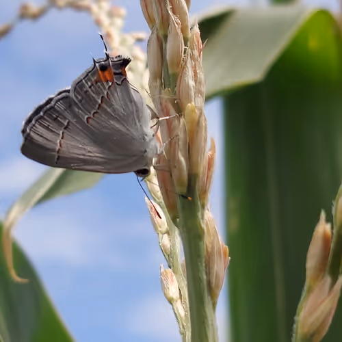 OUR WORLD PHOTOGRAPHY