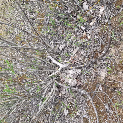 outdoors - aTJqM1um4b - old