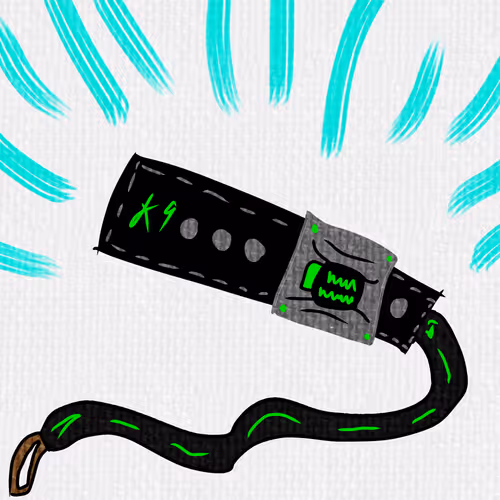 Outlawz K9 Leash - old