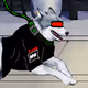 Outlaw'z K9 - old