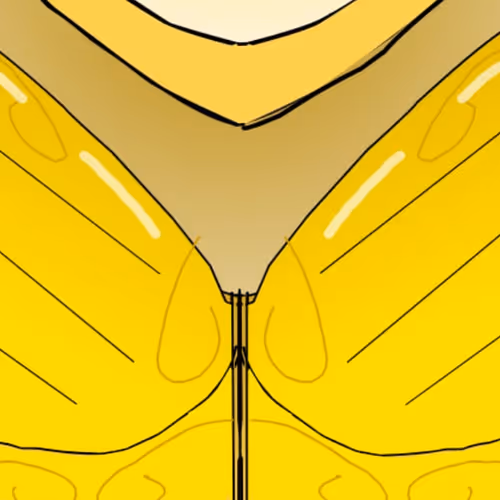 OWL FANTASY EDITION