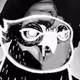 OWL NFTs