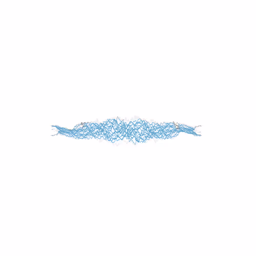 Owl sound wave - old