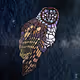 Owl Space Corps