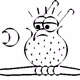 Owl Status